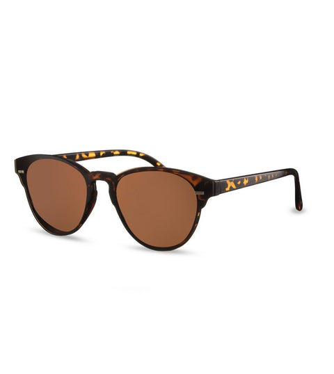 Classic Brown Smoke Lens in Tortoiseshell Sunglasses