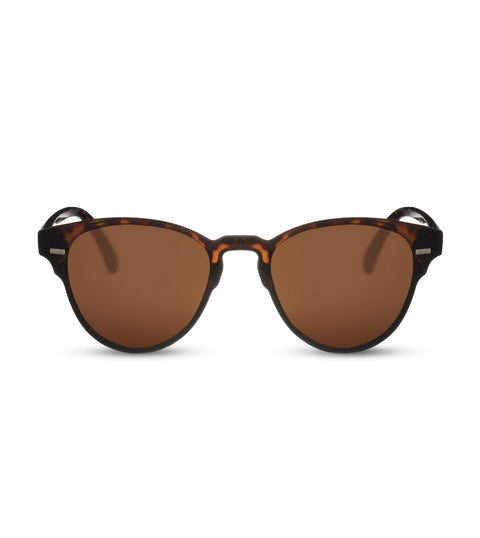 Classic Brown Smoke Lens in Tortoiseshell Sunglasses